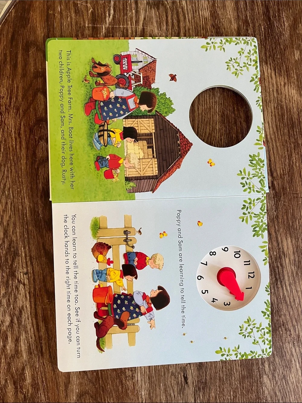 Usborne Poppy and Sam’s Telling the Time Book -